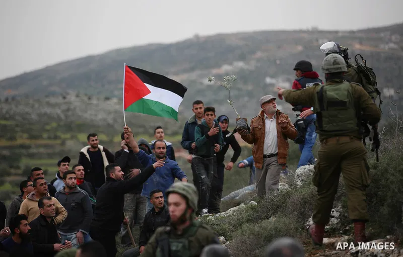 Palestinians try to plant olive trees as Israeli troops stand guard during a protest against Jewish settlements in the village of Beita, near Nablus in the occupied West Bank February 15, 2018. Photo by Shadi Jarar'ah
