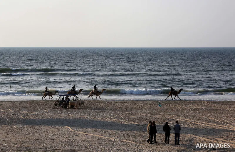 Palestinian men ride camels during a local racing on the beach of Gaza city on February 16, 2018. Photo by Ashraf Amra