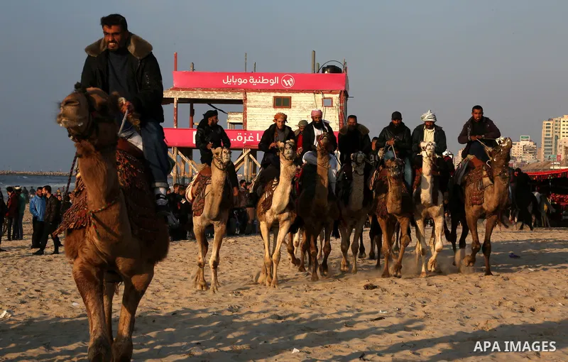 Palestinian men ride camels during a local racing on the beach of Gaza city on February 16, 2018. Photo by Ashraf Amra