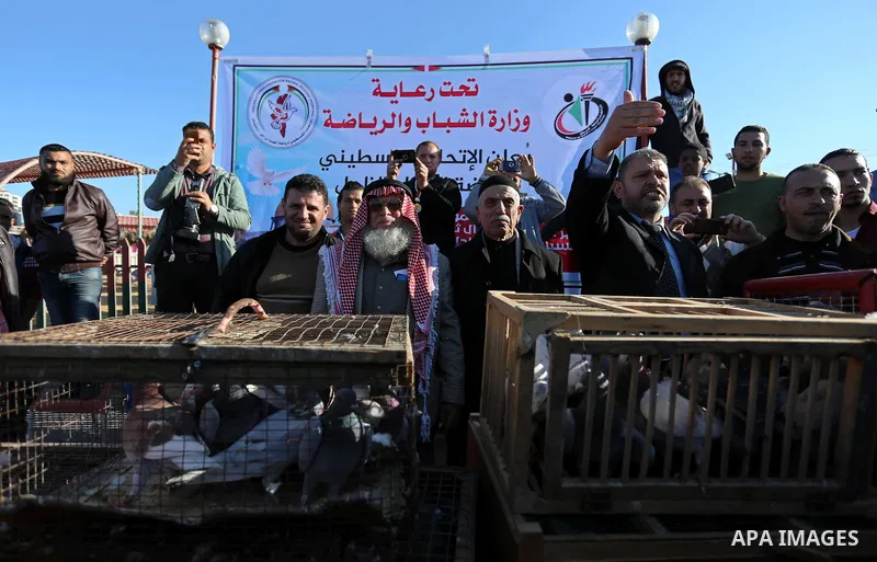 Palestinians take part in race of carrier-pigeon organized by local breeders at the Gaza seaport on February 24, 2018. Photo by Ashraf Amra