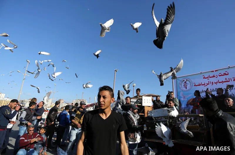 Palestinians take part in race of carrier-pigeon organized by local breeders at the Gaza seaport on February 24, 2018. Photo by Ashraf Amra