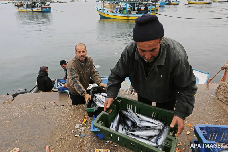 Palestinian fishermen collect fish from nets at the port in Gaza City on February 26, 2018. A spokeswoman for the Israeli army said the boat "deviated from the designated fishing zone in the northern Gaza Strip. "Naval f...