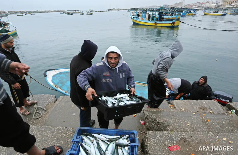 Palestinian fishermen collect fish from nets at the port in Gaza City on February 26, 2018. A spokeswoman for the Israeli army said the boat "deviated from the designated fishing zone in the northern Gaza Strip. "Naval f...