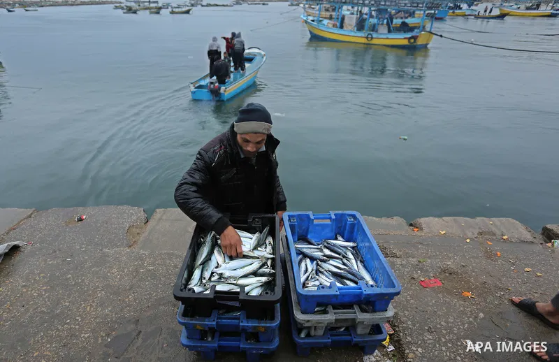 Palestinian fishermen collect fish from nets at the port in Gaza City on February 26, 2018. A spokeswoman for the Israeli army said the boat "deviated from the designated fishing zone in the northern Gaza Strip. "Naval f...