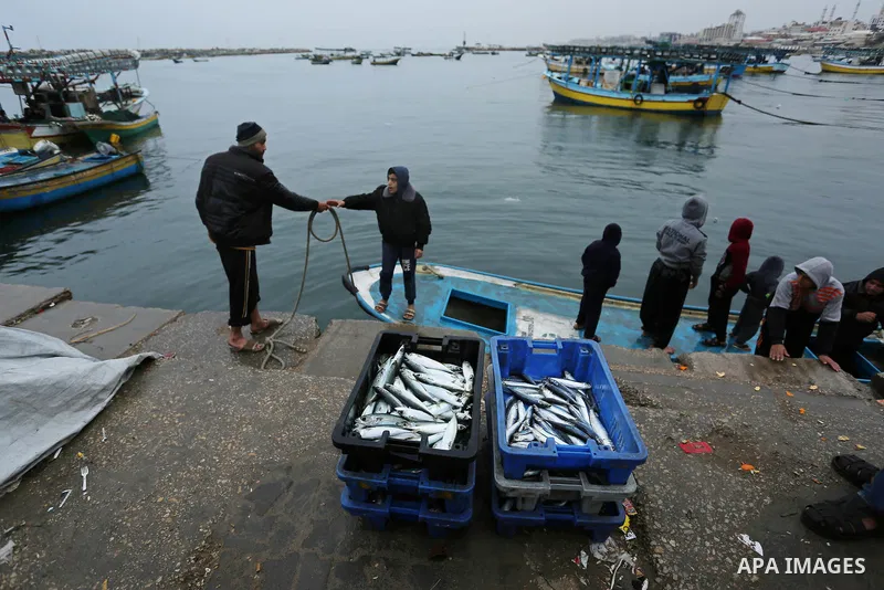 Palestinian fishermen collect fish from nets at the port in Gaza City on February 26, 2018. A spokeswoman for the Israeli army said the boat "deviated from the designated fishing zone in the northern Gaza Strip. "Naval f...