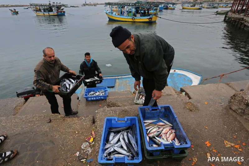 Palestinian fishermen collect fish from nets at the port in Gaza City on February 26, 2018. A spokeswoman for the Israeli army said the boat "deviated from the designated fishing zone in the northern Gaza Strip. "Naval f...