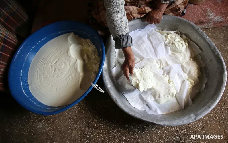 An elderly Palestinian woman Hayat Zeid , 80, makes templates of white cheese inside her home, in Kfairet village near the West Bank city of Jenin, on Febraruy 24, 2018. Hayat has been making cheese from sheep milk since...