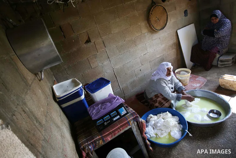 An elderly Palestinian woman Hayat Zeid , 80, makes templates of white cheese inside her home, in Kfairet village near the West Bank city of Jenin, on Febraruy 24, 2018. Hayat has been making cheese from sheep milk since...