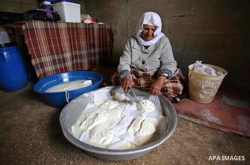 An elderly Palestinian woman Hayat Zeid , 80, makes templates of white cheese inside her home, in Kfairet village near the West Bank city of Jenin, on Febraruy 24, 2018. Hayat has been making cheese from sheep milk since...