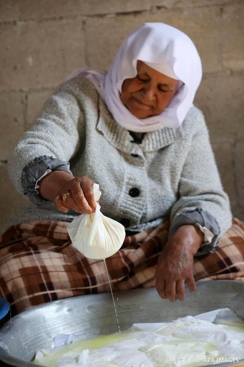 An elderly Palestinian woman Hayat Zeid , 80, makes templates of white cheese inside her home, in Kfairet village near the West Bank city of Jenin, on Febraruy 24, 2018. Hayat has been making cheese from sheep milk since...