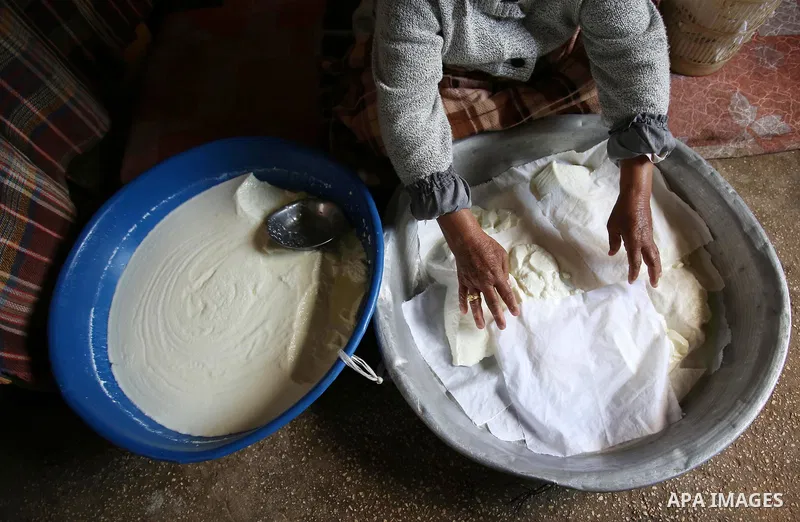 An elderly Palestinian woman Hayat Zeid , 80, makes templates of white cheese inside her home, in Kfairet village near the West Bank city of Jenin, on Febraruy 24, 2018. Hayat has been making cheese from sheep milk since...