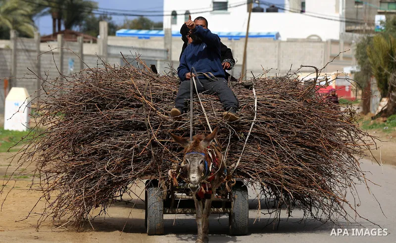 A Palestinian man rides a donkey cart in the central Gaza Strip on February 27, 2018. Photo by Yasser Qudih