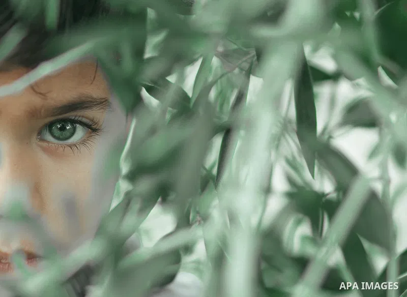 A half face of a young boy with a green eyes disappears between leaves. Photo by Sanad Ltefa