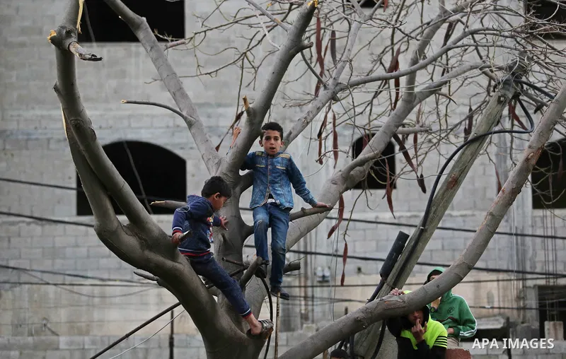 Palestinain children sit on a tree outside al-Shifa hospital after the arrival of the body of a Palestinian fisherman Ismail Abu Riala, 18, who was shot dead by Israeli Naval forces on February 14, in Gaza city on on Mar...