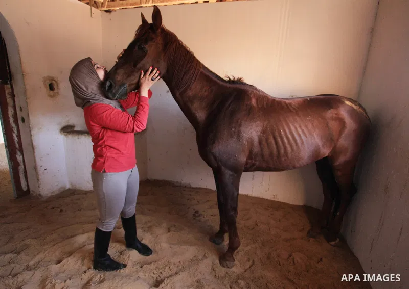 Palestinian woman Afnan al-Hayek, 31, plays with her horse during a training, in Gaza city on March 26, 2018. Al-Hayek participated in many equestrian competitions and she seeks to represent Palestine in international fo...