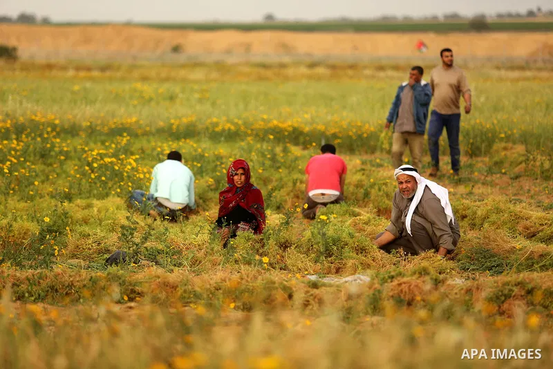 Palestinians sit in a field near the Gaza-Israel border on the outskirts of Khan Yunis in the southern Gaza Strip on March 28, 2018. Protesters plan to call for the right of Palestinian refugees across the Middle East to...