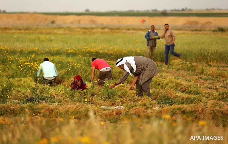 Palestinians sit in a field near the Gaza-Israel border on the outskirts of Khan Yunis in the southern Gaza Strip on March 28, 2018. Protesters plan to call for the right of Palestinian refugees across the Middle East to...