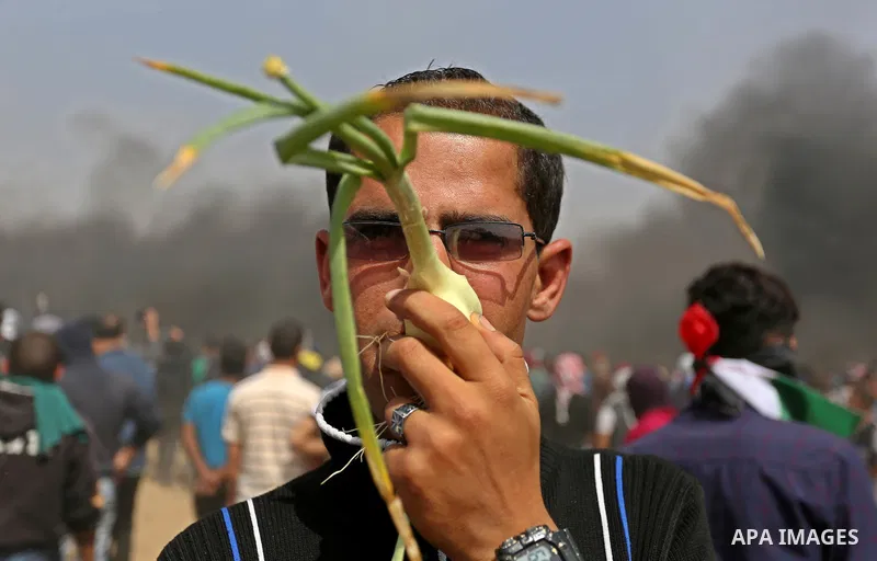 A picture taken on April 13, 2018, shows a Palestinian protester uses onions o protect himself from tear gas during clashes with Israeli security forces following a protest, on the Gaza-Israel border, in Khan Younis in t...