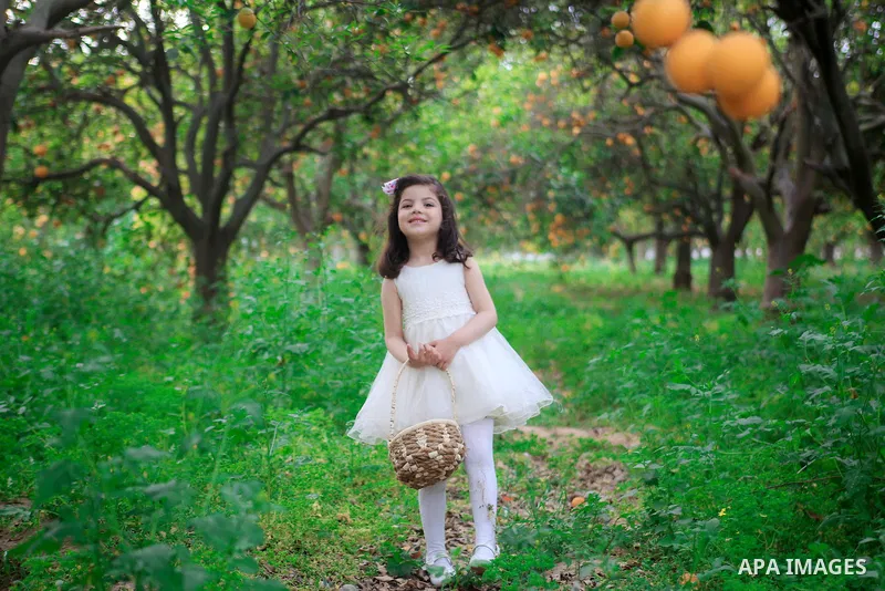 A pretty girl collects oranges at a field. Photo by Mahmoud Khattab