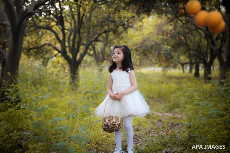 A pretty girl collects oranges at a field. Photo by Mahmoud Khattab