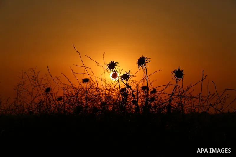 A picture taken on April 23, 2018 shows sunset near the Israel-Gaza border, east of Gaza city. Photo by Yasser Qudih