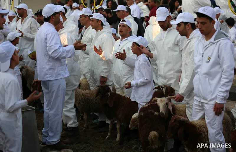 Members of the ancient Samaritan community take part in the ritual of Passover Sacrifice on Mount Grizim, overlooking the West Bank town of Nablus, April 29, 2018. Samaritans descended from the ancient Israelite tribes o...