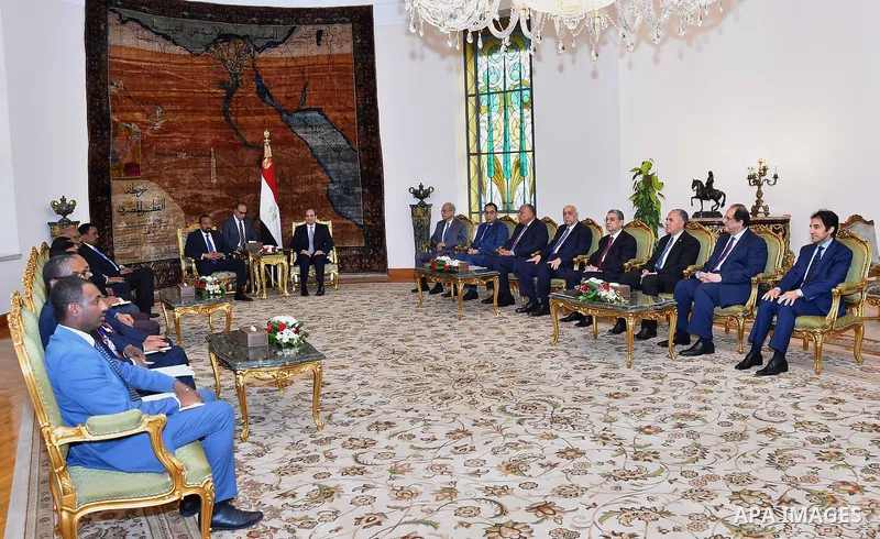 Egyptian President Abdel-Fattah al-Sisi meets with Ethiopian Prime Minister Abiy Ahmed Ali in Cairo, Egypt, on June 10, 2018. Photo by Egyptian President Office