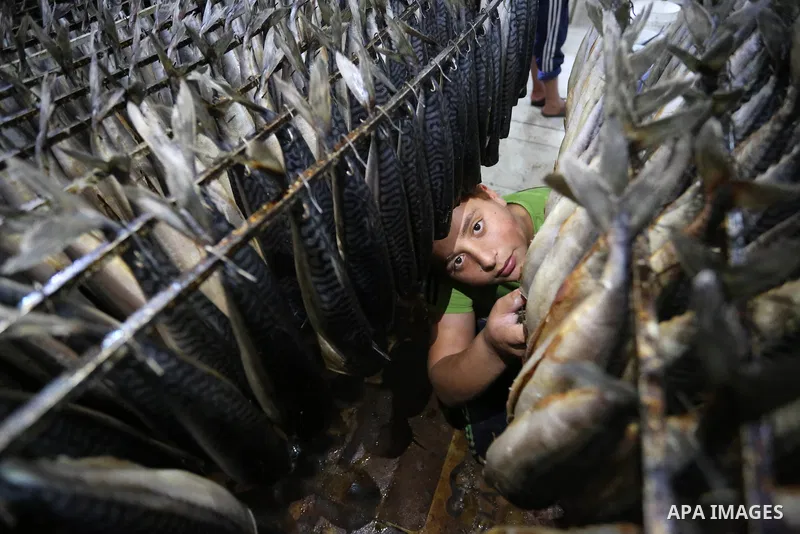 A Palestinian man prepares Smoked Herring or, salted fish to be sold in a market ahead of the Eid al-Fitr holiday in Rafah in the southern Gaza Strip on June 12, 2018. Eid al-Fitr marks the end of Muslim's holy fasting m...