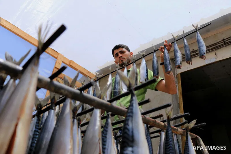 A Palestinian man prepares Smoked Herring or, salted fish to be sold in a market ahead of the Eid al-Fitr holiday in Rafah in the southern Gaza Strip on June 12, 2018. Eid al-Fitr marks the end of Muslim's holy fasting m...