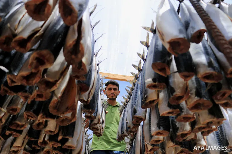 A Palestinian man prepares Smoked Herring or, salted fish to be sold in a market ahead of the Eid al-Fitr holiday in Rafah in the southern Gaza Strip on June 12, 2018. Eid al-Fitr marks the end of Muslim's holy fasting m...