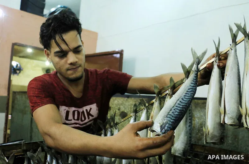A Palestinian man prepares Smoked Herring or, salted fish to be sold in a market ahead of the Eid al-Fitr holiday in Rafah in the southern Gaza Strip on June 12, 2018. Eid al-Fitr marks the end of Muslim's holy fasting m...