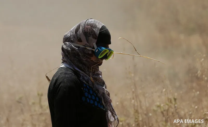 Palestinians refine grinded barley during harvest at al-Sawya village near the West Bank City of Nablus, on June 26, 2018. Photo by Ayman Ameen