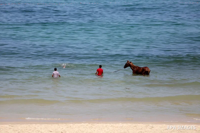 Palestinians enjoy thier time on the coast of Deir al-Balah's sea, in the center of Gaza Strip on July 3, 2018. Photo by Atia Darwish