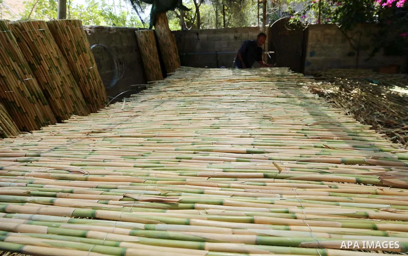 Palestinian Abdullah Al-Hindi ,52, uses reeds to make mats, umbrellas and decorative for houses at Bathan Village near the West Bank city of Nablus, on Aug. 06, 2018. Photo by Ayman Ameen