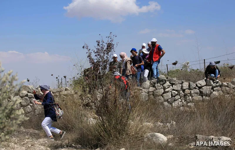 Palestinian youths participate in a tour at Asira al-Shamaliya village near the West Bank city of Nablus on Aug. 10, 2018. Photo by Shadi Jarar'ah