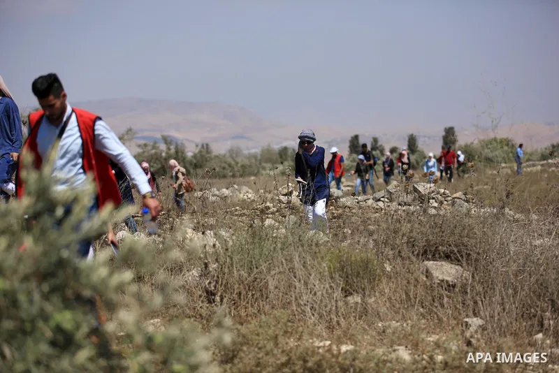 Palestinian youths participate in a tour at Asira al-Shamaliya village near the West Bank city of Nablus on Aug. 10, 2018. Photo by Shadi Jarar'ah