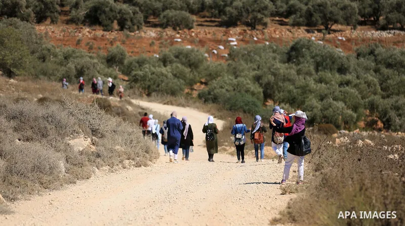 Palestinian youths participate in a tour at Asira al-Shamaliya village near the West Bank city of Nablus on Aug. 10, 2018. Photo by Shadi Jarar'ah