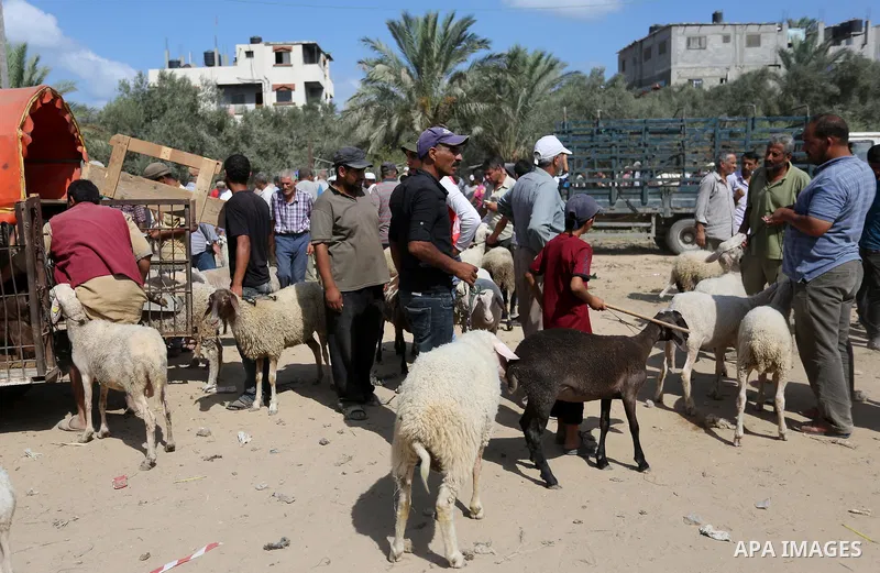 Palestinians gather at a live stock market, ahead of Eid al-Adha in Deir al-Balah, in the center of the Gaza Strip on August 14, 2018. Eid al-Adha (the Festival of Sacrifice) is celebrated throughout the Muslim world as...