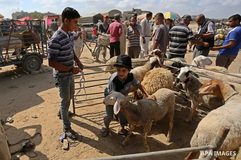 Palestinians gather at a live stock market, ahead of Eid al-Adha in Deir al-Balah, in the center of the Gaza Strip on August 14, 2018. Eid al-Adha (the Festival of Sacrifice) is celebrated throughout the Muslim world as...