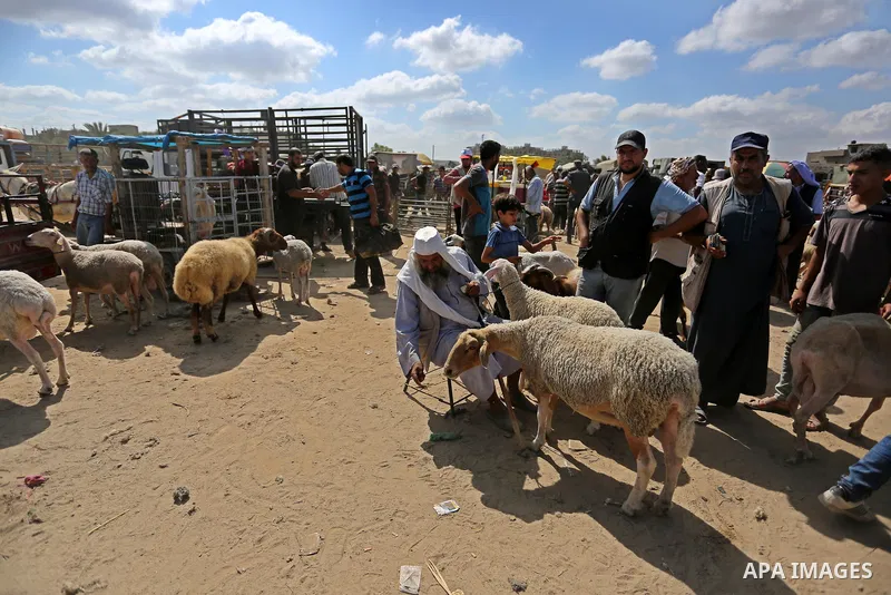 Palestinians gather at a live stock market, ahead of Eid al-Adha in Deir al-Balah, in the center of the Gaza Strip on August 14, 2018. Eid al-Adha (the Festival of Sacrifice) is celebrated throughout the Muslim world as...