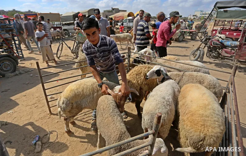 Palestinians gather at a live stock market, ahead of Eid al-Adha in Deir al-Balah, in the center of the Gaza Strip on August 14, 2018. Eid al-Adha (the Festival of Sacrifice) is celebrated throughout the Muslim world as...