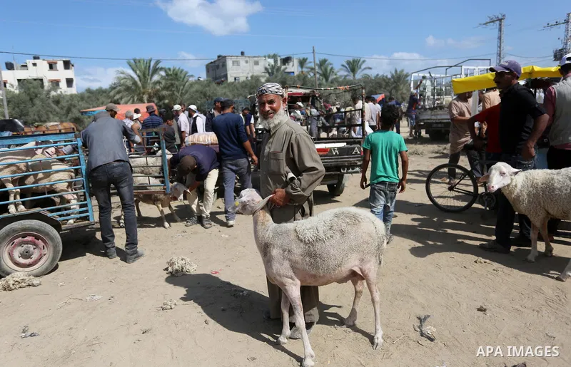 Palestinians gather at a live stock market, ahead of Eid al-Adha in Deir al-Balah, in the center of the Gaza Strip on August 14, 2018. Eid al-Adha (the Festival of Sacrifice) is celebrated throughout the Muslim world as...