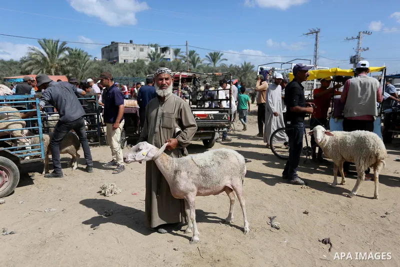 Palestinians gather at a live stock market, ahead of Eid al-Adha in Deir al-Balah, in the center of the Gaza Strip on August 14, 2018. Eid al-Adha (the Festival of Sacrifice) is celebrated throughout the Muslim world as...