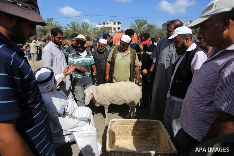 Palestinians gather at a live stock market, ahead of Eid al-Adha in Deir al-Balah, in the center of the Gaza Strip on August 14, 2018. Eid al-Adha (the Festival of Sacrifice) is celebrated throughout the Muslim world as...