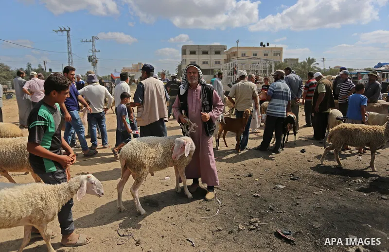 Palestinians gather at a live stock market, ahead of Eid al-Adha in Deir al-Balah, in the center of the Gaza Strip on August 14, 2018. Eid al-Adha (the Festival of Sacrifice) is celebrated throughout the Muslim world as...
