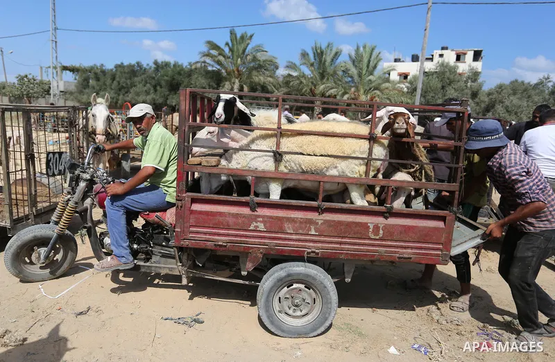 Palestinians gather at a live stock market, ahead of Eid al-Adha in Deir al-Balah, in the center of the Gaza Strip on August 14, 2018. Eid al-Adha (the Festival of Sacrifice) is celebrated throughout the Muslim world as...