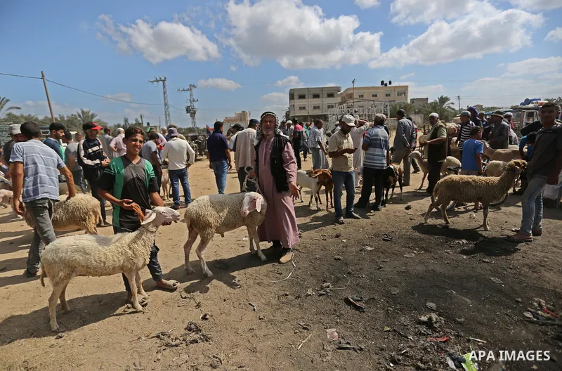Palestinians gather at a live stock market, ahead of Eid al-Adha in Deir al-Balah, in the center of the Gaza Strip on August 14, 2018. Eid al-Adha (the Festival of Sacrifice) is celebrated throughout the Muslim world as...