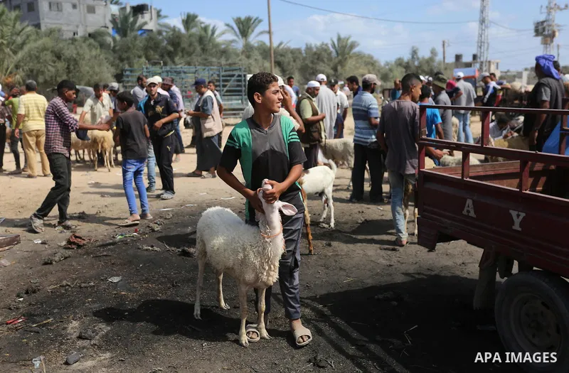 Palestinians gather at a live stock market, ahead of Eid al-Adha in Deir al-Balah, in the center of the Gaza Strip on August 14, 2018. Eid al-Adha (the Festival of Sacrifice) is celebrated throughout the Muslim world as...
