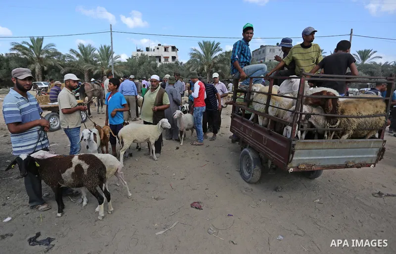 Palestinians gather at a live stock market, ahead of Eid al-Adha in Deir al-Balah, in the center of the Gaza Strip on August 14, 2018. Eid al-Adha (the Festival of Sacrifice) is celebrated throughout the Muslim world as...