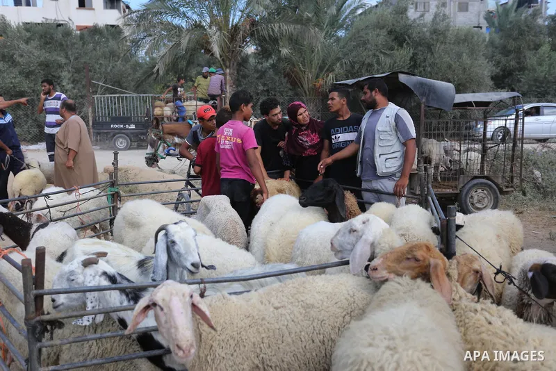 Palestinians gather at a live stock market, ahead of Eid al-Adha in Deir al-Balah, in the center of the Gaza Strip on August 14, 2018. Eid al-Adha (the Festival of Sacrifice) is celebrated throughout the Muslim world as...